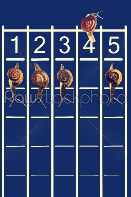 Snails running on track with one snail going backwords