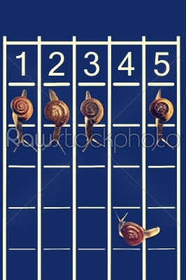 Snails running on track with one snail going backwords