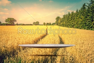 Stage hovering over a golden field