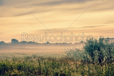 Sunrise over a misty field
