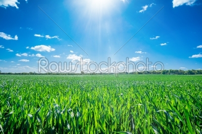 Sunshine on a countryside