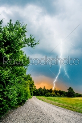 thunder and lightning hits trees