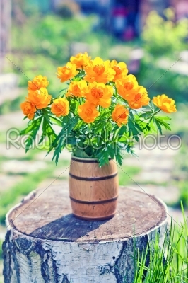 vase filled by beautiful spring orange flowers of globeflowers on the birch stub