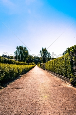 Village path