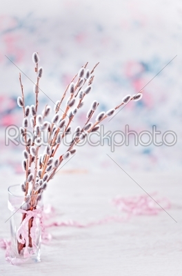 Willow spring branches in glass bottle on a white wooden background