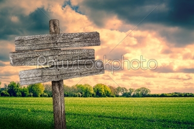 Wooden sign on a green field