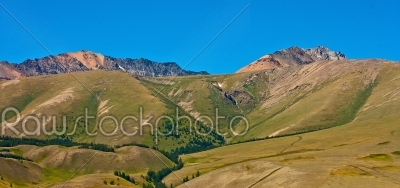 yellow hill and rock Altai mountain