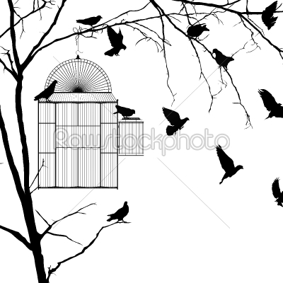 Bird cage silhouettes