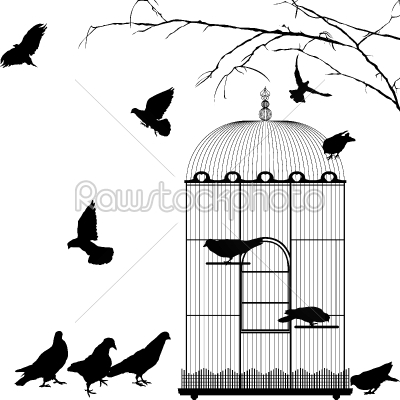 Birdcage and birds