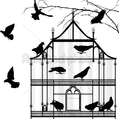 Birds and birdcage graphic