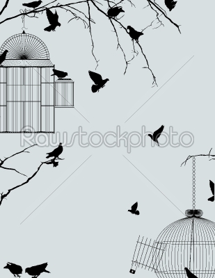 Birds and birdcages postcard 2