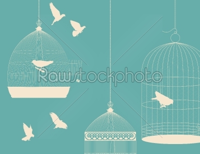 Birds and birdcages postcard 5