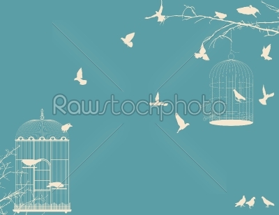 Birds and birdcages postcard 9