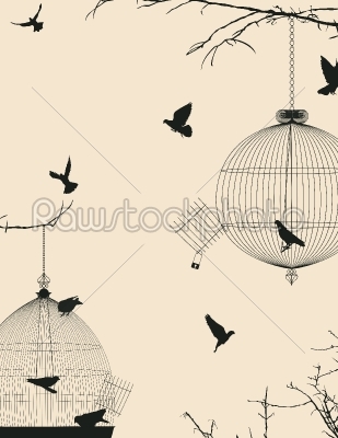 Birds and birdcages postcard