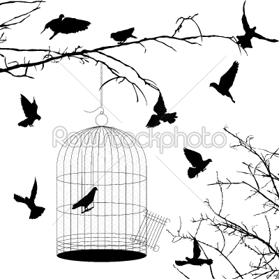 Birds and cage silhouettes
