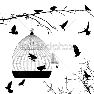 Birds silhouettes and bird cage