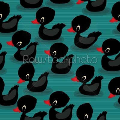 Black baby ducks