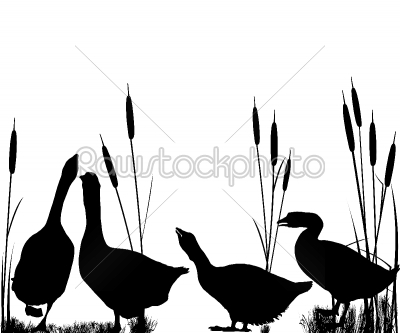Goose and reeds silhouettes