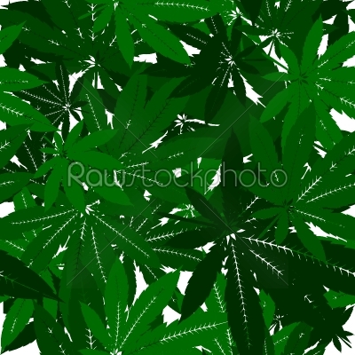 Marijuana Leaves  Pattern
