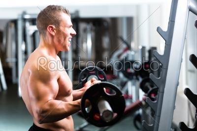 stock photo: dumbbell training in gym-Raw Stock Photo ID: 46543