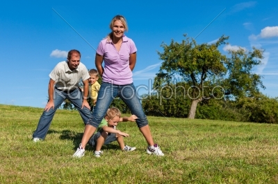 stock photo: family with children playing on a meadow-Raw Stock Photo ID: 42876