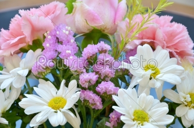 stock photo: flower-Raw Stock Photo ID: 19599