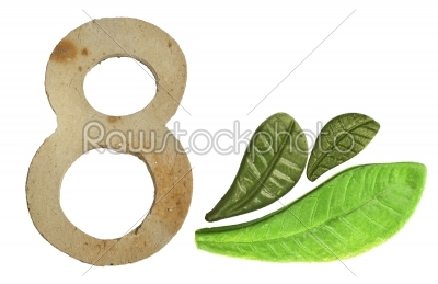  8 numeric and leaves made from clay in pottery technique
