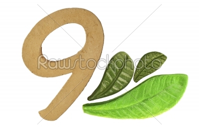  9 numeri numeric and leaves made from clay in pottery techniquec