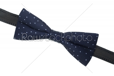 a bow-tie on white background