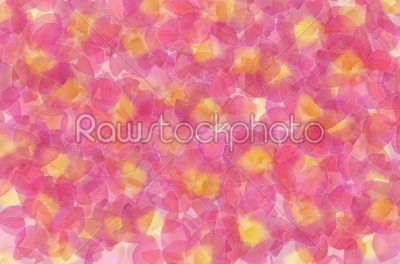 abstract flowers
