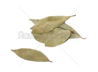 Bay leafs