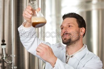Beer brewer in his brewery examining