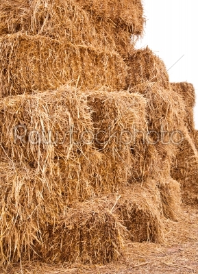 Big Pile of Straw