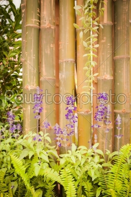 blue forget me not with bamboo panel