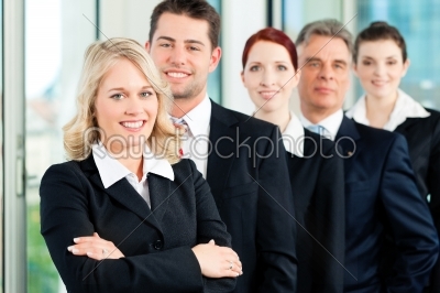Business - team of professionals in office