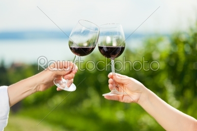 Couple drinking wine at lake in summer