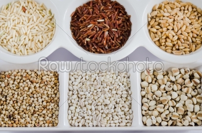 different grains