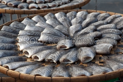 Dried Gourami Fish the Food Preservation