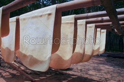 Dried rubber sheet For use in industry.