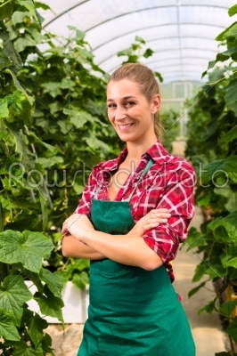 Female commercial gardener in green house
