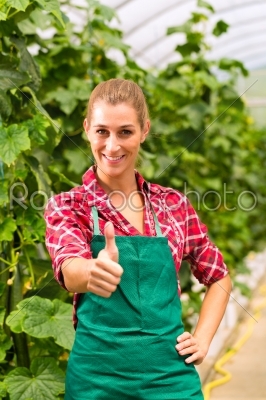 Female commercial gardener in green house