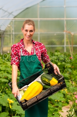 Female gardener in market garden or nursery