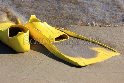 Flippers on the beach