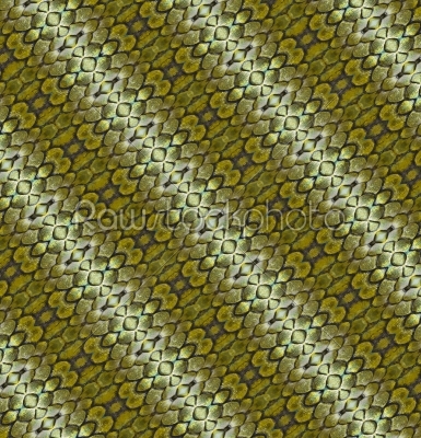 flora pattern
