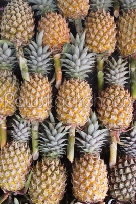 Fresh pineapple.