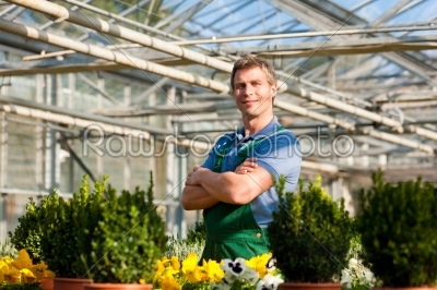 Gardener in market garden or nursery