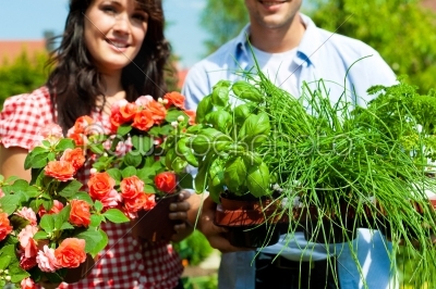 Gardening in summer - couple with herbs and flowers