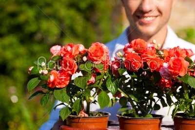 Gardening in summer - man with flowers