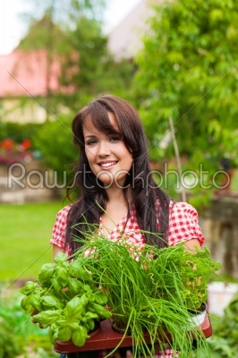 Gardening in summer - woman with herbs