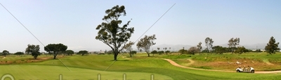 Golf Fairway